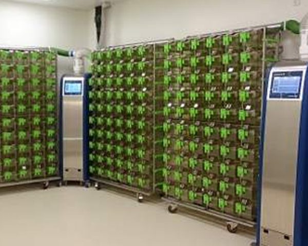 Ventilated Cages (IVC) Mice/Rats  Green